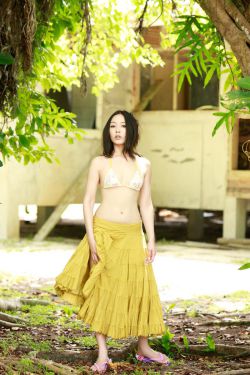 龙门客栈李连杰